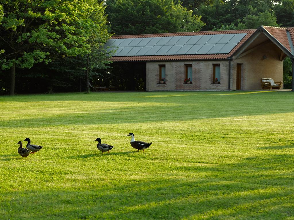 Вилла Relais Agrituristico Ormesani Сан-Либерале Экстерьер фото