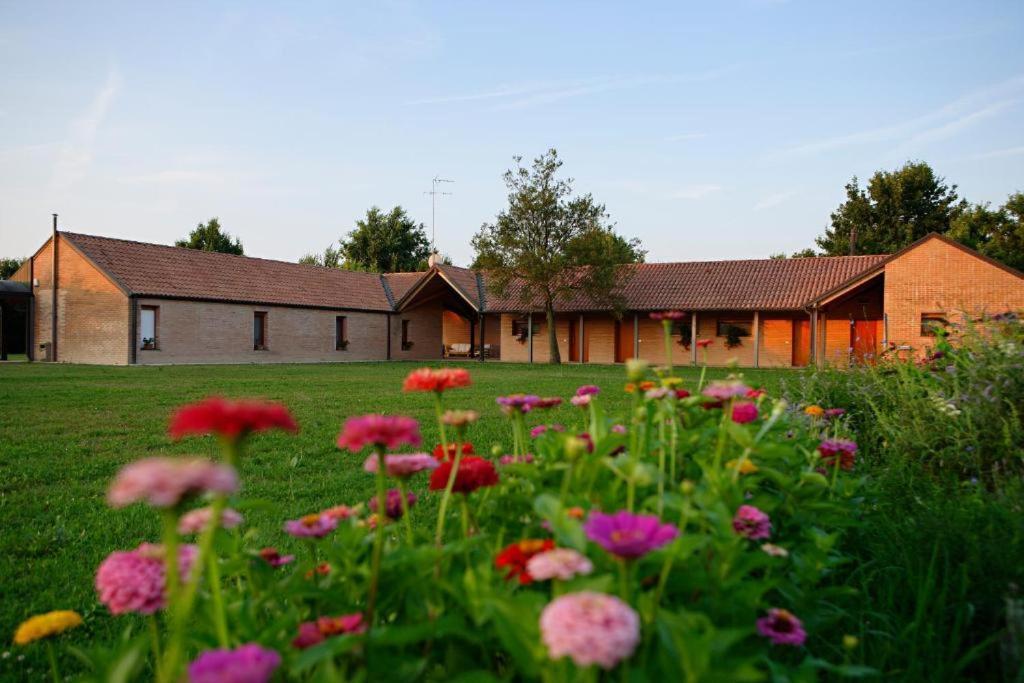 Вилла Relais Agrituristico Ormesani Сан-Либерале Экстерьер фото